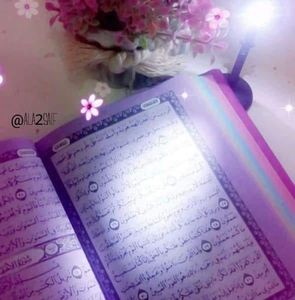 Meet your Posher, Lynette